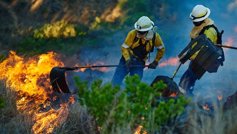 Firefighters fighting wildfire